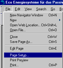 Prepare print out on Netscape 6.N / Mozilla
Menu File - Page Setup. Sinze Mozilla does not support the CSS zoom feature, You have to manually set page scalling to 78% at DIN-A4 or 72% at US letter format.
Picture 1