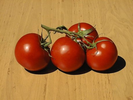 Suchmaschinen Experten: Über Tomaten und Paradeiser
Dieses Photo zeigt dem Österreicher einen Paradeiser, den Deutschen aber Tomaten. Allgemein bekannt. Doch wie sieht es mit unterschiedlichen Technik Slang aus?